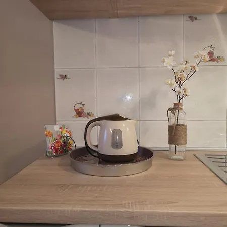 公寓 拉瓦纳公寓酒店 *