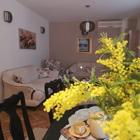 Ivona * טרוגיר